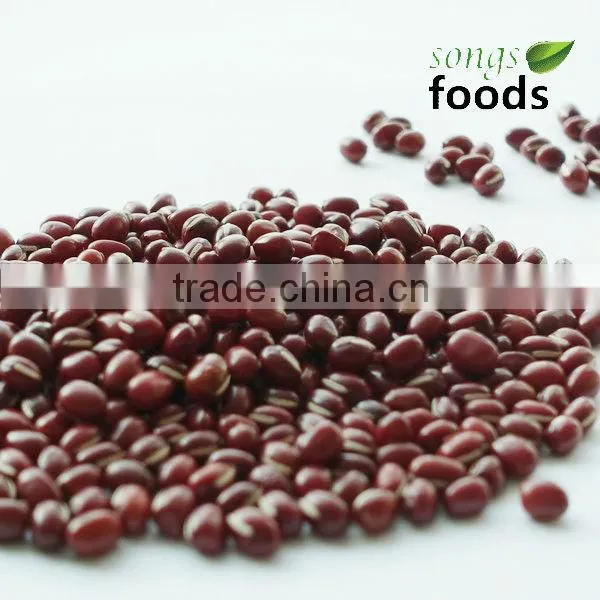 China Little Beans, Small Dark Red Beans