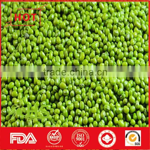 High Quality Green Mung Bean for Sale photo-4