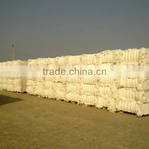 Raw Cotton photo-4