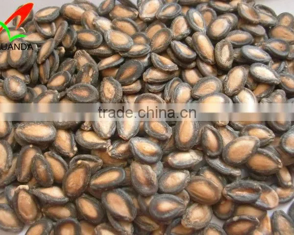 Black Watermelon Hybrid Seeds