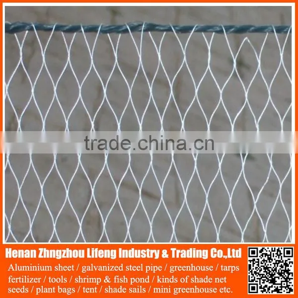 High Quality Anti Bird Net / pe Anti Bird Net / Plastic Bird Net for Protecting Grape,anti Bird Net Made in China China photo-5