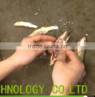 2017hot Selling Small Fish Gutting Machine/fish Organs Remover Machine/fish/ Belly-open Machine photo-2