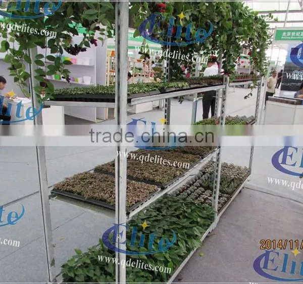341 Nurse Young Plants in Hothouses photo-3
