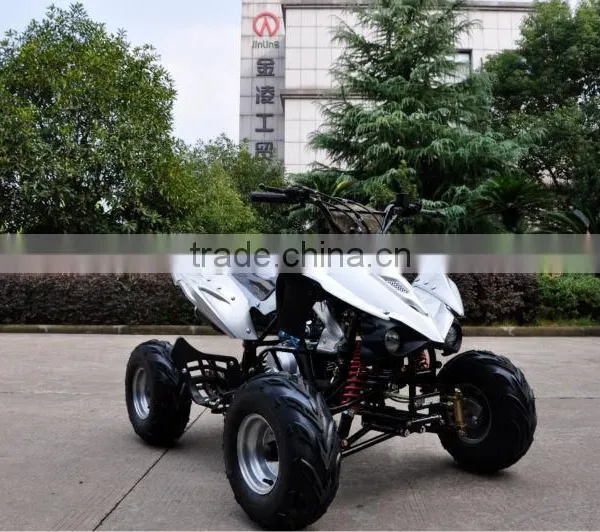 50CC LONCIN Engine Mini Quad Bike (JLA-07-06) photo-2