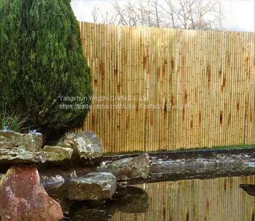 Bamboo Cane,Bamboo Pole,Bamboo Garden Fencing photo-3