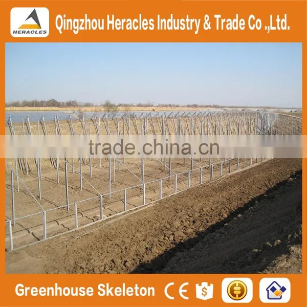 Heracles Trade Assurance Factory Price Sunlight Greenhouse photo-2