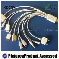 10 In 1 USB Cable