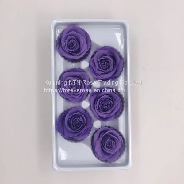 Preserved Fresh Roses Flower for Home Decoration photo-5