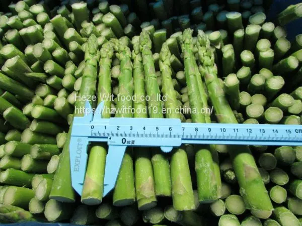 IQF Green Asparagus photo-4