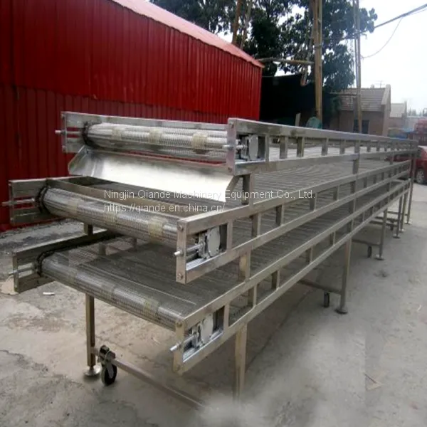 Manufacturer of Stainless Steel Mesh Chain Conveyor Belt of Drying Line photo-2