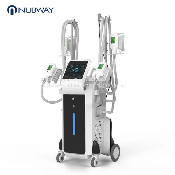 2019 Professional 4 Handles Working Simultaneously Cryolipolysis Vacuum Slimming Machine photo-2