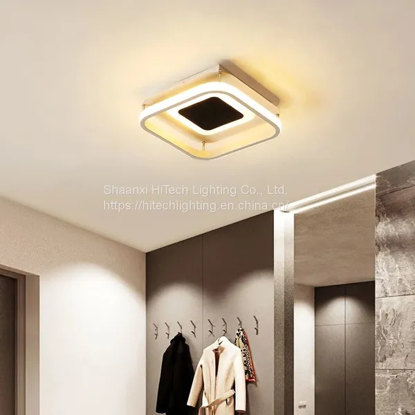 Acrylic Led Aisle Ceiling Lamp For Cloakroom Corridor Balcony Foyer Lighting Thin Lights Decoration Home Lustering Luminaire photo-5