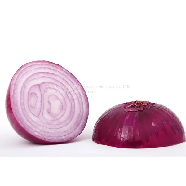 Fresh Onion photo-5