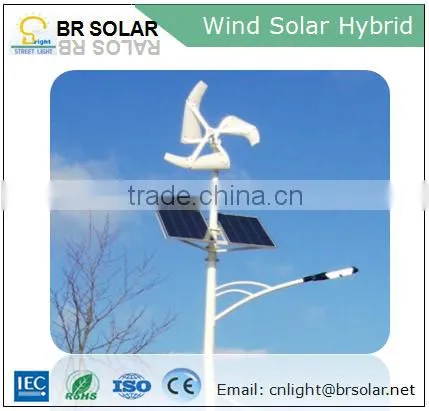 Competitive Price 5 Years Warranty off Grid Hybrid Solar Wind Power System photo-3