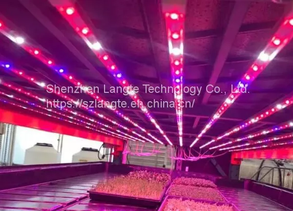 LED светильники для выращивания растений