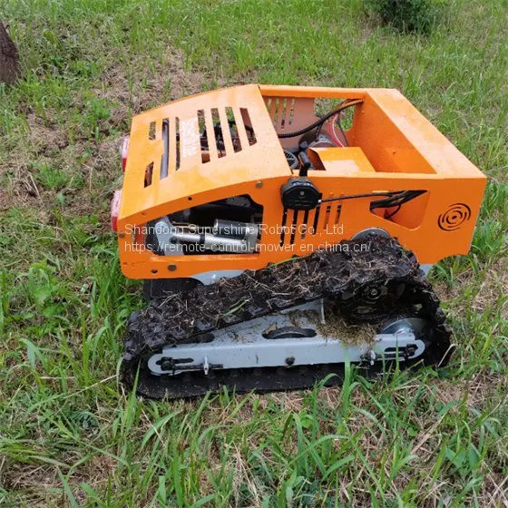 Remote Control Mower China Manufacturer Factory Supplier Wholesaler photo-2