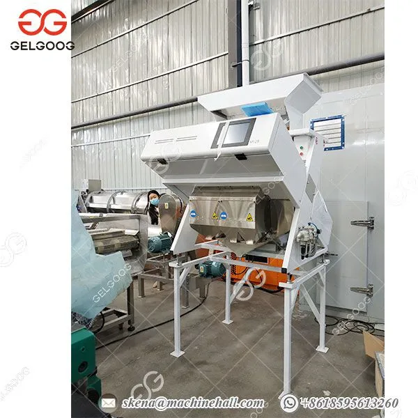 Color Sorter Manufacturer Bean Garlic Color Sorting Machine