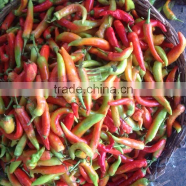 Banana Pepper in Brine photo-2