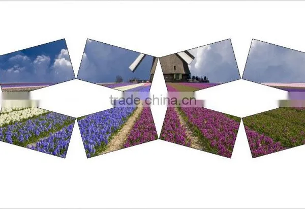 21.6 Inch Video Wall Controller With Irregular Array, Image Flip for HDMI Video Wall and TV Wall photo-4