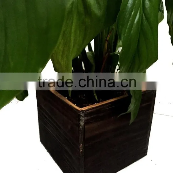 Set of 2 Flower Pots, Pots Garden, Wood Plant Pots photo-3