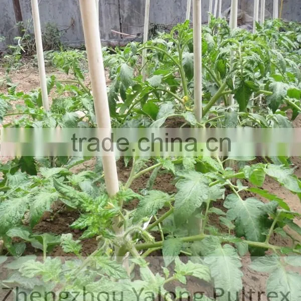 Anti-aging High Quality Fiberglass Garden Stakes, Popular for Vineyard, Nursery Stock photo-2