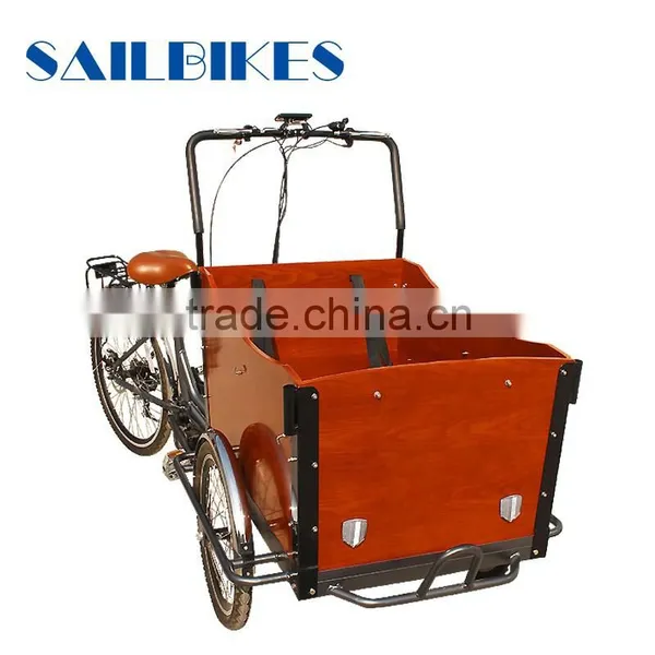 Electric Bicycle Cargo for Children photo-3