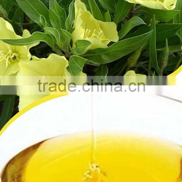 Evening Primrose Oil