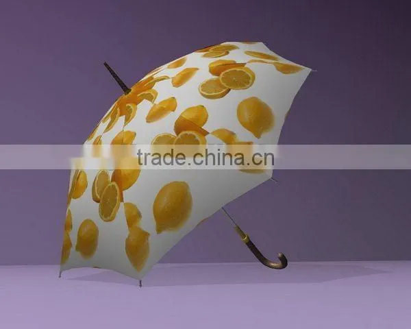 Tyvek Umbrella