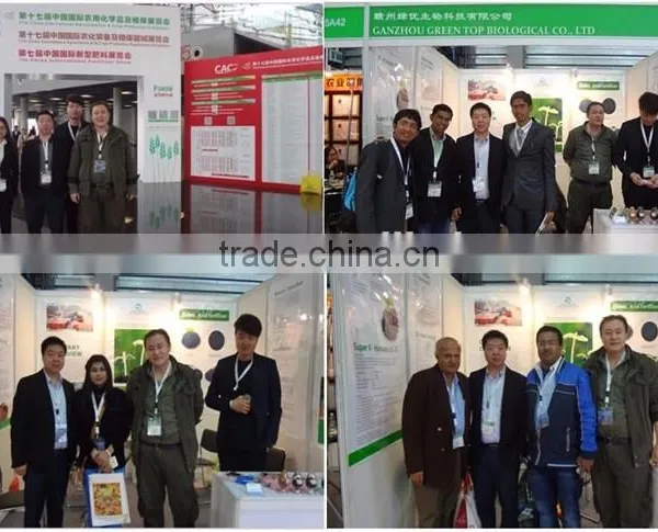 Granular Npk Fertilizer Humic Acid Organic Fertilizer Prices photo-2