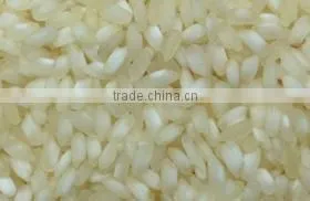 White Rice