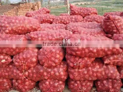 Onion Specification Fresh photo-2