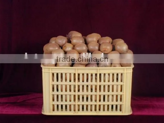 2016 New Crop Chinese Fresh Kiwi Fruits With Good Quality photo-5