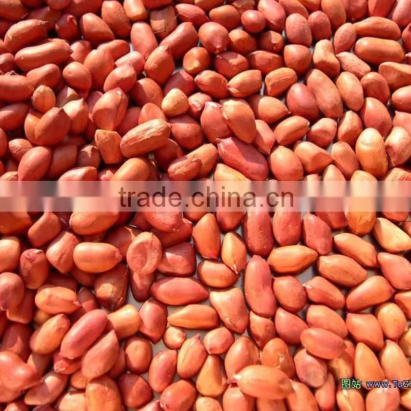 peanut kernels