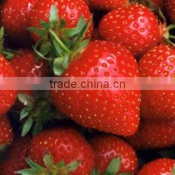 STRAWBERRY FLAVORS