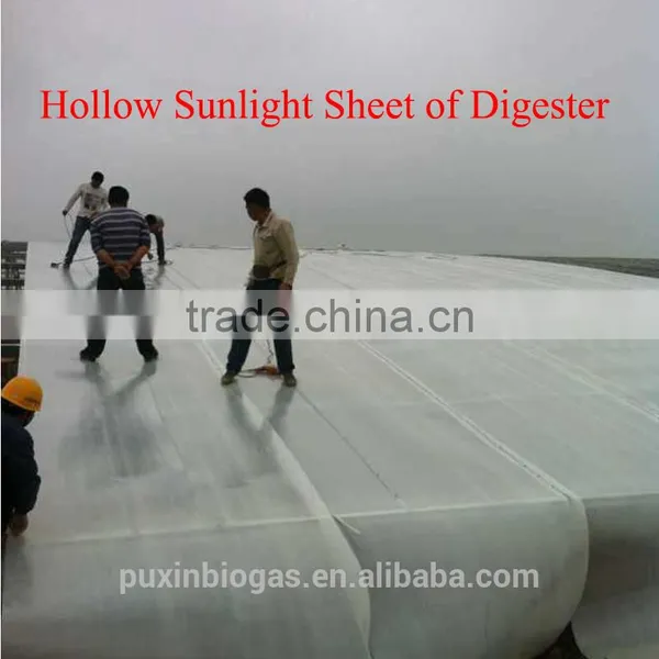 Puxin Large Size Assembly Biogas System to Convert Organic Waste Into Electricity photo-6