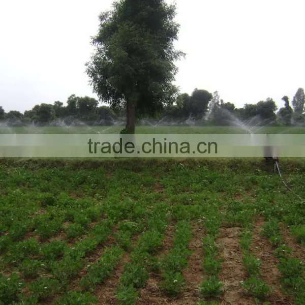 Brass Nozzle for Sprinkler Irrigation System photo-4