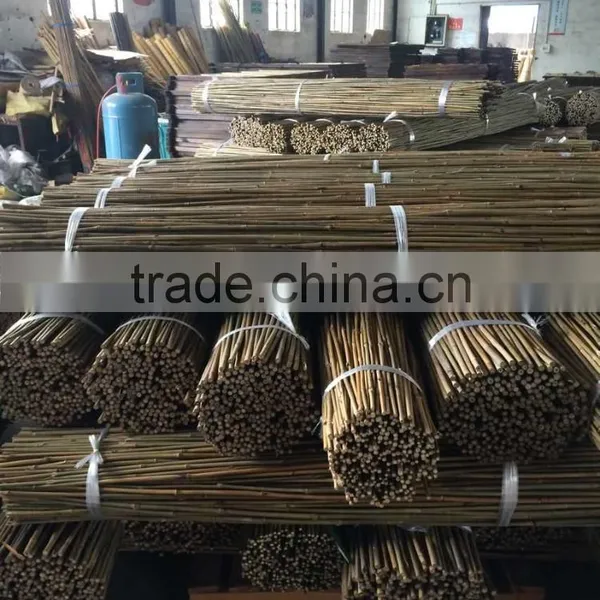 Natural Straight Bamboo Cane photo-2