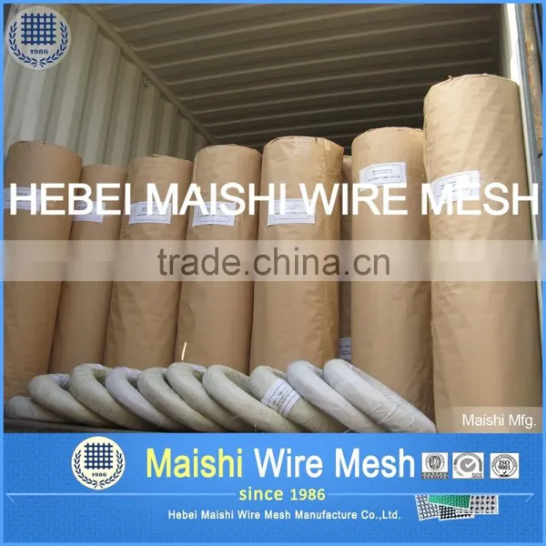 1/2" Sq Black PVC Coated Welded Wire Mesh photo-2