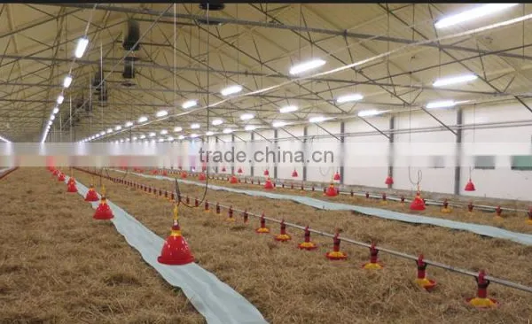 2016 Factory Direct Sale Ce Chicken Farm Equipement Automatic Broiler Pan Feeding System photo-3