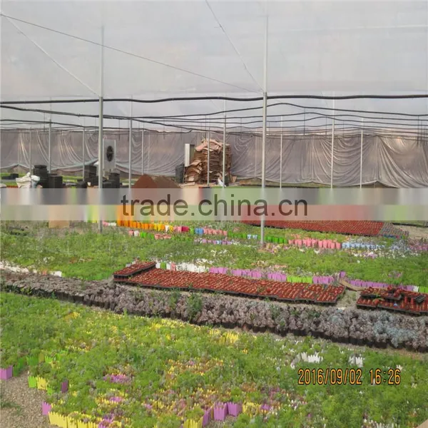 Multi-Span Agricultural Greenhouses photo-4