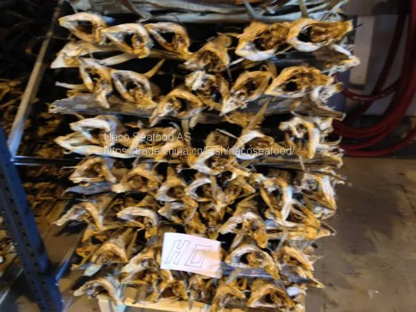 Atlantic Cod Fish, Cod Fillet, Norway Dry Stock Fish Cod HOG, Cod Bladder, HADDOCK Fish, Saithe Fish, Frozen Cod Head photo-4