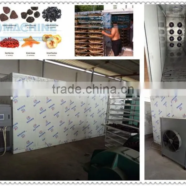 High Capacity Vacuum Dryer Fruit and Vegetables Dates Herbs and Meet photo-2