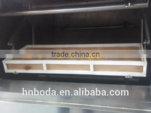 Tropical Food Machinery Mango Processing photo-2