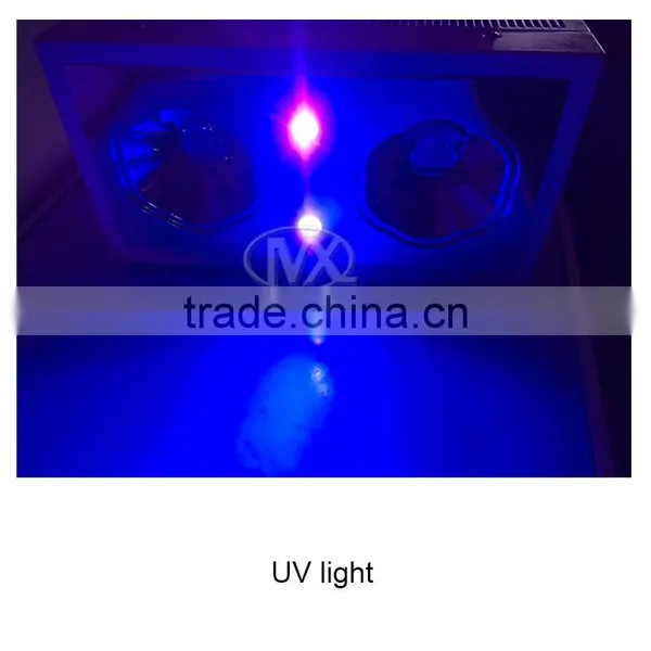 300W/400w Full Spectrum Led Grow Light Fixture for Veg Bloom photo-4