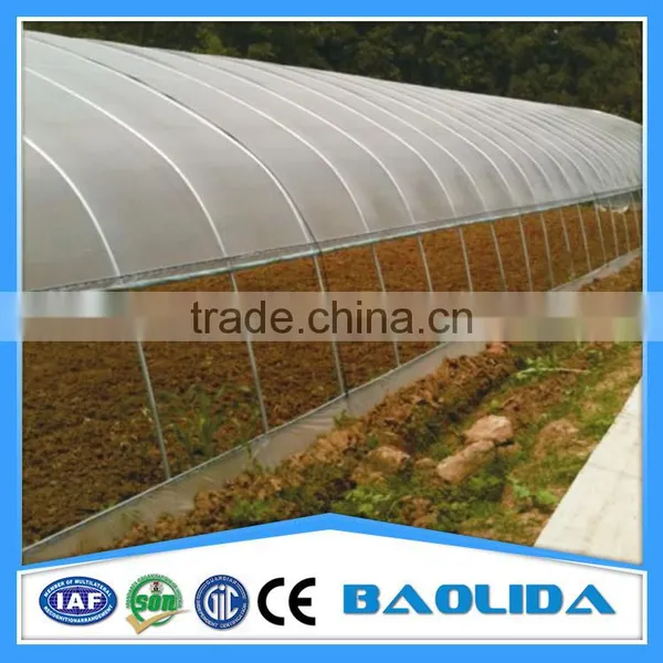 Single-Span Agricultural Planting Plastic Greenhouse photo-2