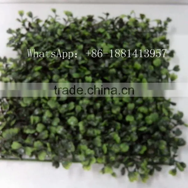 SJC016 Plastic Thick Grass Artificial Milan Grass Turf Fake Grass photo-6
