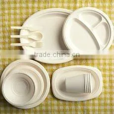 Biodegradable Tableware
