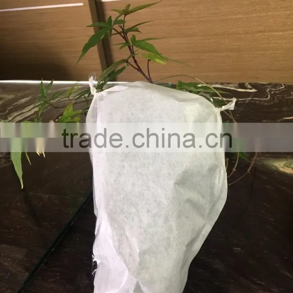 Cheap Grape Packing Cultivating Names of Branded Bags Brand Name Grapes photo-4