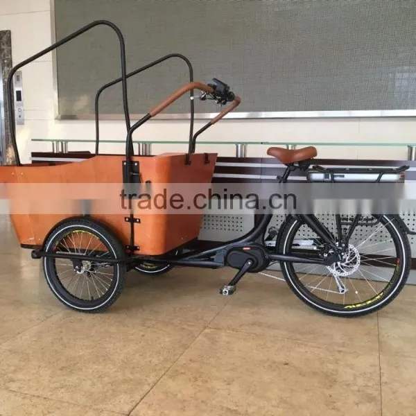 Electric Tricycle Bikes