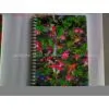 3d Notebook photo-2